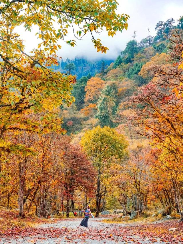 喇叭河五彩斑斓的秋天，就这样闯闯闯入视野！