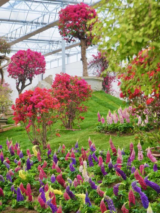 临沂春假旅行指南，请查收