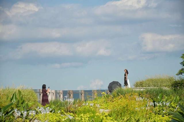 深活指南 | 重阳登高，收藏来自深圳山海的秋日问候​~