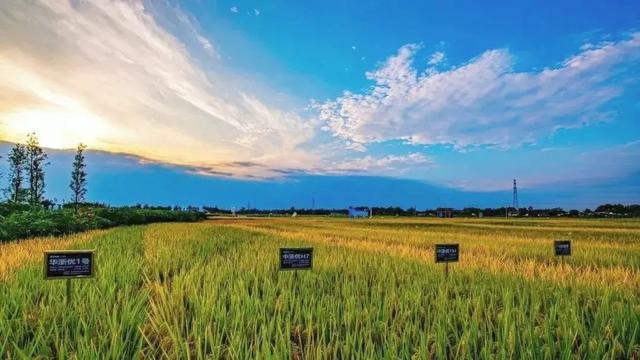 秋崃｜在邛崃的旷野，感受生活的“松弛感”