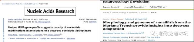 挤在直径1.8米的球舱中潜入万米深渊，眼前大量的古怪生物令我震