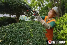 一线直击·高温下的坚守 | “护绿使者”的故事，藏在粗糙双手里图片