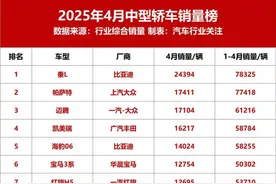 国内中型车最新销量榜出炉！比亚迪秦L重返第一，帕萨特与迈腾紧随其后……图片
