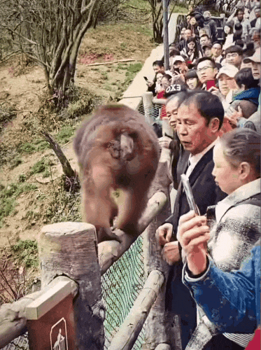 远离禽兽