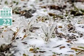 新闻来了，你好安康 2024.1.22图片