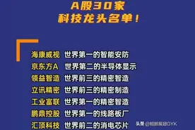 值得收藏的:A股30家科技龙头企业+打破国外垄断的21家企业图片