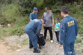 云南首例！父子深山迷路，绝望时用导航App卫星喊“救命”后获救图片