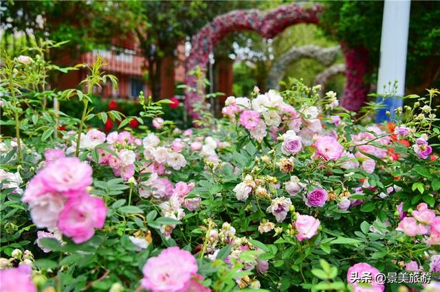 佛山紫南芳华谷清明开放，七大主题亮相，打造湾区微度假目的地