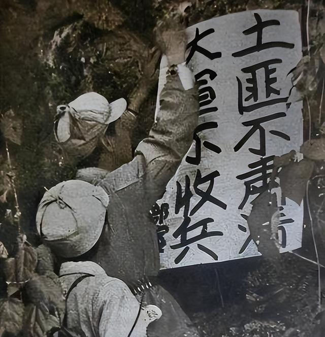 4年剿匪260万，为什么只有新中国剿匪成功了？看看伤亡就懂了