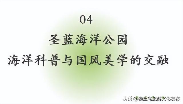 2025年度盘点（旅游篇）：新质生产力赋能全国滨海旅游目的地建设