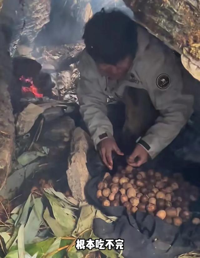 为了治疗精神内耗	，他们脱下长衫去山里当起了野人