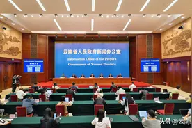 云南林木植被碳储量居全国第一图片