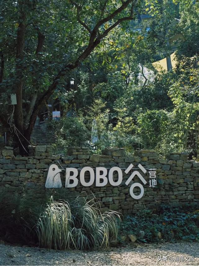 注意!淄博热门露营地被禁!不能露营了?还有这些绝美营地→