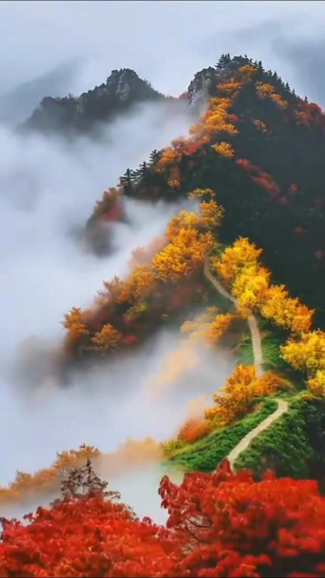大巴山安康美景新韵—你我在雨中雨中邂逅