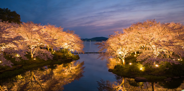 🔥清明全国游天花板！18 座热门城市一站式攻略