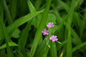 怎样判断一个男人喜欢你！图片