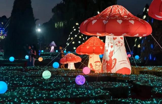 丰台二日漫游指南 | 解锁“花影车梦” 新玩法,奔赴丰台,感受热爱