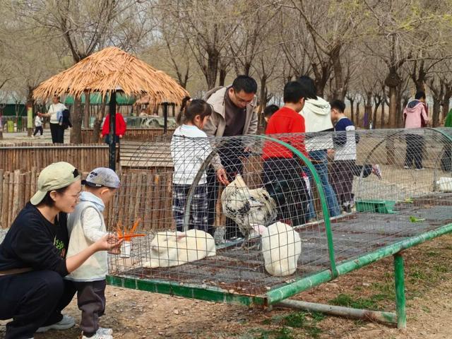 【兵韵春风·踏青惠民】看，鑫诚田园把春天“搬”到你面前！