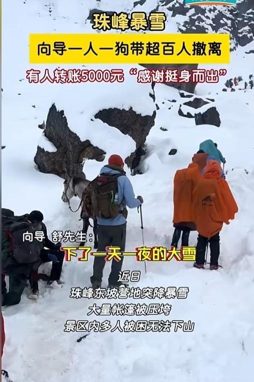 珠峰暴雪围困！向导血肉之躯开生路，百人奇迹生还，拒收天价酬金