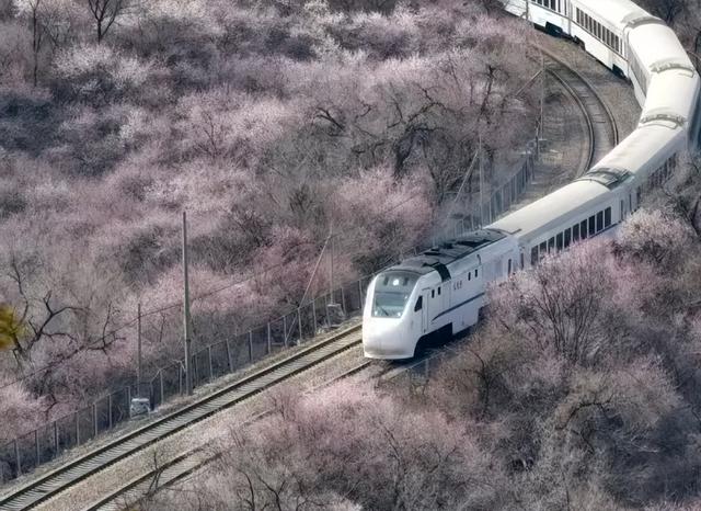 北京春日限定 | 8条绝美赏花徒步路线，承包你整个春天的浪漫！