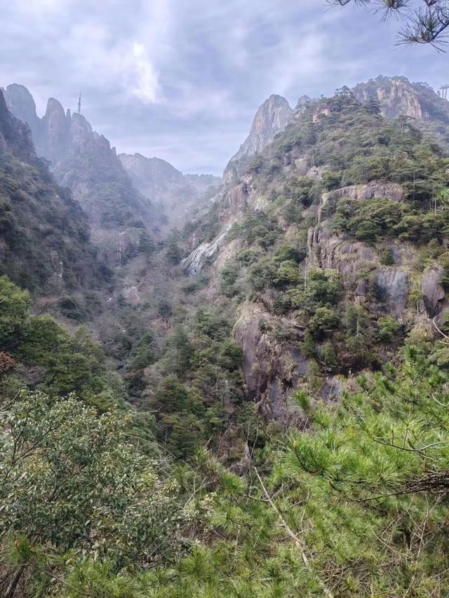 漫步黄山松掩山丛树杪，云隐仙踪徒步蹬道千阶