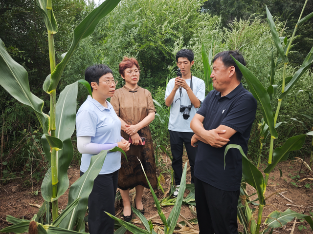 曼行吉林 | 蒙曼：延边是一个挺适合做很浪漫旅行的地方