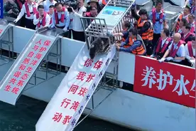 养得肥墩墩的！9头斑海豹今天放归大海图片