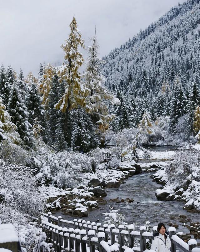 立冬启新章 | 在 4860冰川之巅邂逅冬日限定美好