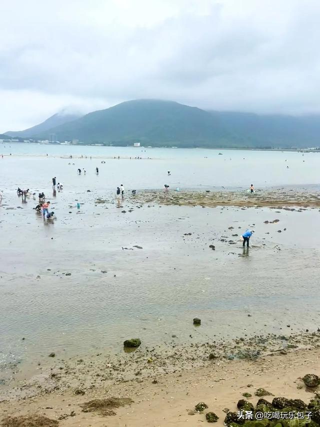 深圳2025年6月，赶海退潮时间