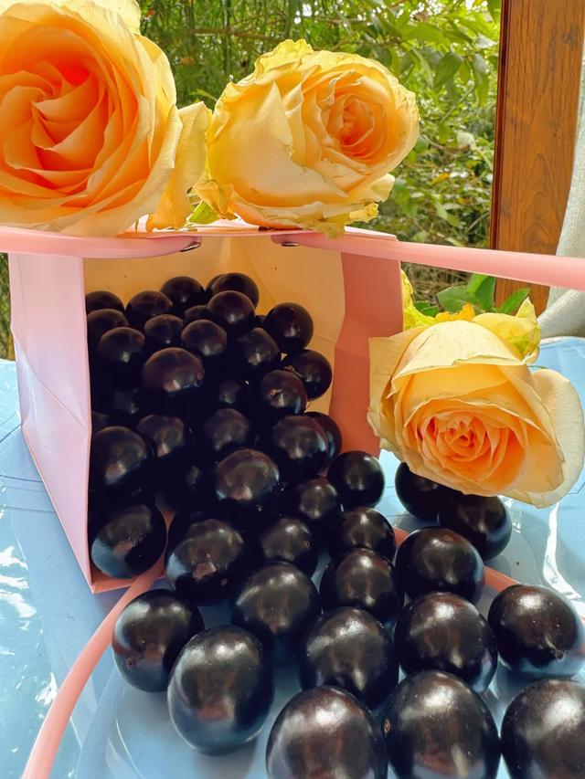 趣春游，赴一场蓝洋踏青的邀约