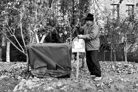 太原龙潭公园在园内绿洲植物景区搭建了一组户外流浪猫窝图片