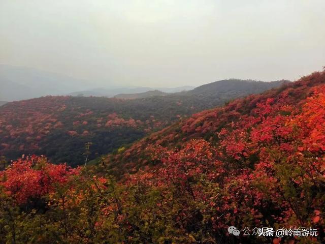 富平薛镇赵老峪北村，赏红叶观石桥瀑布，这条环线真是美爆了！