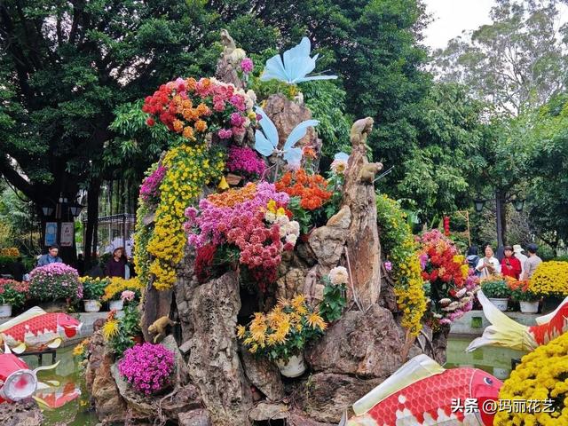 金秋赏花，醉美秋菊展，菊香满西湖