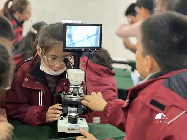 这届春假，临安申请出战！