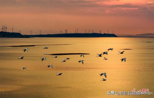 都昌：大美湿地 生态画卷