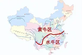 编辑测评团 ：挑战全网水牛奶测评清单，耗费半个月测评29款水牛奶图片