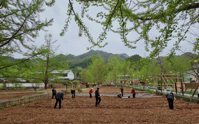 春满田河，古韵新生