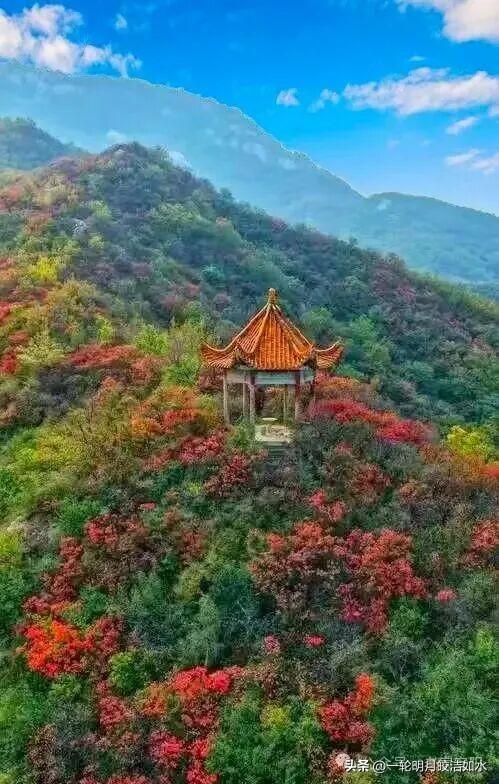 金风玉露染花山