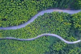 带上好心情！去感受公路的五彩斑斓图片