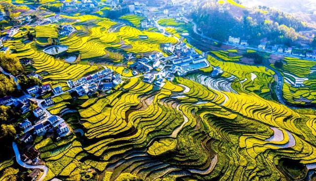 超全！陕西各地春日花海赴约指南