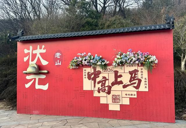 华东超大 “天然氧吧” 免费开放！南京这个森林公园藏不住了