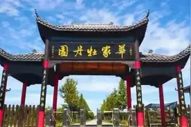 直达花海！大连金普新区开通赏花公交专线图片
