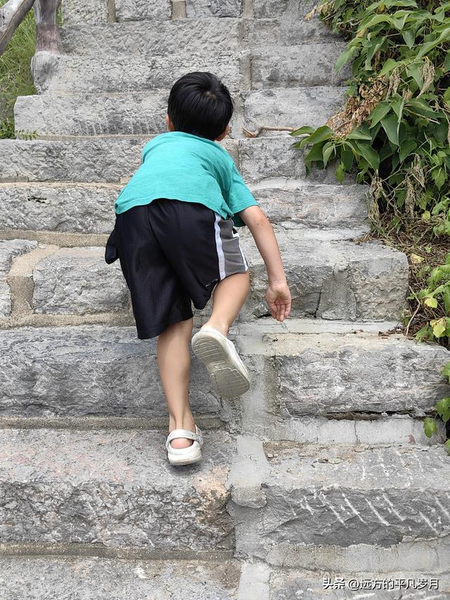 我的八月