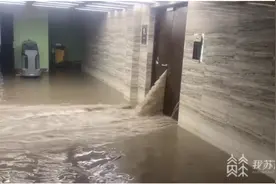 私挖地下室致河堤塌陷，该担何责？图片