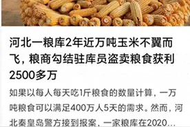 事大了！万吨库粮凭空消失后续：央媒怒批！网友：这是个别现象吗图片