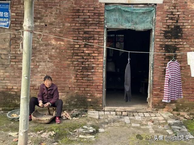 冠县乡韵·桑阿镇轧庄