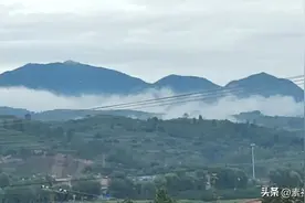 揭秘，各大保险公司背后的神秘靠山图片