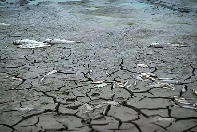 全球淡水告急！多国母亲河濒临干涸危机，“地球之眼”正在消逝