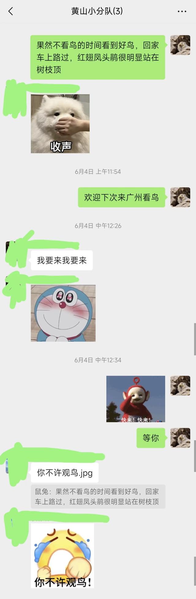黄山·观鸟衔云⑥ | 傍霞村——从鸟类看环境，每一种鸟都是环境的放大镜 | 皖美夏日
