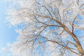 猜心能力最强的星座，精通人性，一眼看透本质，最难被人迷惑图片